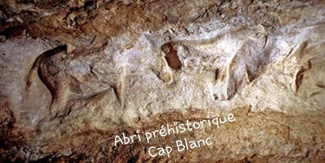 Chateau De L Herm, Lascaux, Sarlat, En Perigord Noir Rouffignac Saint-Cernin Exterior foto